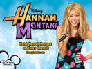 Hannah-Montana-miley-cyrus-3891497-1024-768