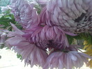 DSC00206