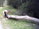 PICT0237