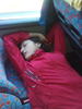 Alina ma doreste.