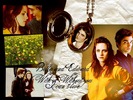 Twilight-twilight-series-986726_102