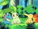totodile_chikorita_cyndaquil[1]