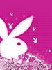 Bunny_Love