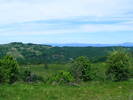 DSCF0549