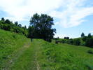 DSCF0611