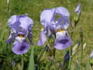 P1110941