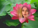 divyanka in flore