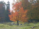 DSCN2509