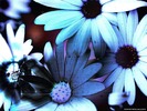 3d_various_007
