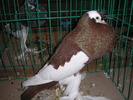 P1010173