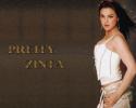 preity-zinta-wallpaper-136464-5641