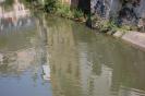 Resize of DSC_0281