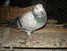 DSC02880