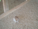DSC00881