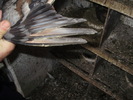 P9061485