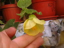 Picture 035