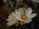 DSC08753