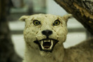 _mg_4583-800