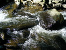 DSCF5243