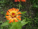 Picture 023