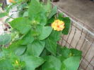 DSC09640