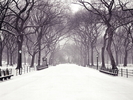 Christmas Wallpapers (125)