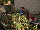 DSC02256