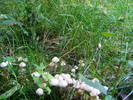 DSCF2625