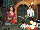 Nelena-3-selena-gomez-8193198-500-375