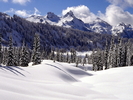 Christmas Wallpapers (648)