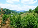 DSCF1016