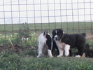 poze 04.05.2009 139