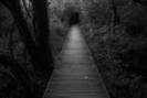 dark path-970882