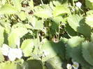 Fotografii-0044