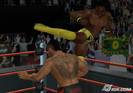 wwe-smackdown-vs-raw-2009-20080915093807641_640w
