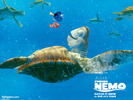 finding_nemo_005_800[1]