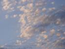 DSCF3453