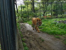 Picture 067