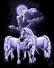 unicorns-6