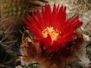 DSC09592