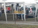 DSCN3133