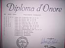 diploma cu 32 de premii-2008