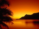 webshots188