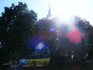 DSCF3911