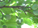 PICT0115
