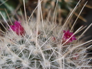 DSC09450