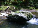DSCF5108