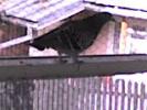 DSC00076