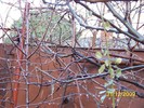 100_8244