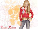 Hannah Montana 51